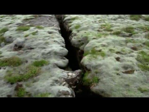 Inside Bjork, the documentary